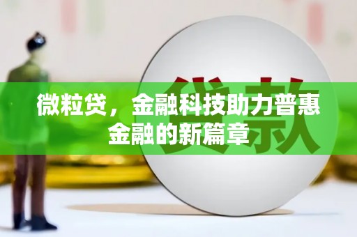大宁微粒贷，金融科技助力普惠金融的新篇章