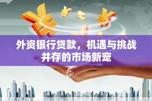 芦淞外资银行贷款，机遇与挑战并存的市场新宠