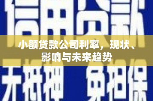 山阳小额贷款公司利率，现状、影响与未来趋势