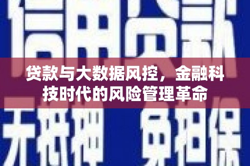 隆子贷款与大数据风控，金融科技时代的风险管理革命