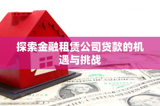 勉县探索金融租赁公司贷款的机遇与挑战