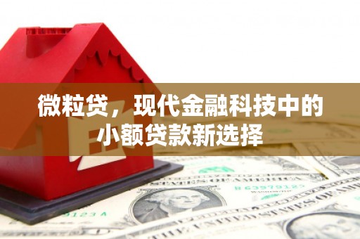 榆树微粒贷，现代金融科技中的小额贷款新选择