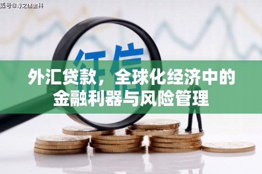 成华外汇贷款，全球化经济中的金融利器与风险管理