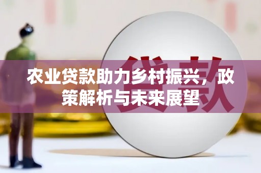 徐汇农业贷款助力乡村振兴，政策解析与未来展望