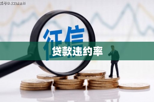 德宏贷款违约率