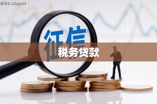 旬阳税务贷款