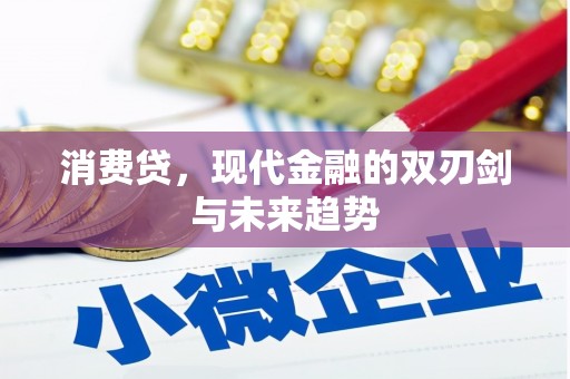 会同消费贷，现代金融的双刃剑与未来趋势