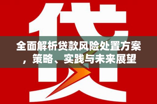 盐田全面解析贷款风险处置方案，策略、实践与未来展望