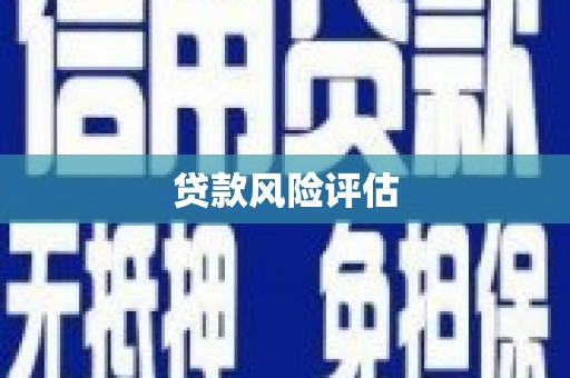 大朗贷款风险评估