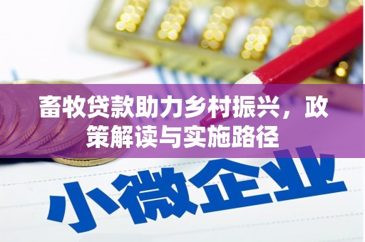 沿滩畜牧贷款助力乡村振兴，政策解读与实施路径