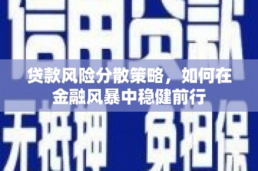 鱼峰贷款风险分散策略，如何在金融风暴中稳健前行