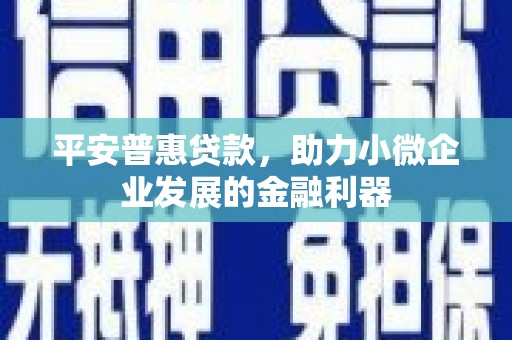 勉县平安普惠贷款，助力小微企业发展的金融利器