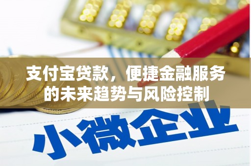 天宁支付宝贷款，便捷金融服务的未来趋势与风险控制