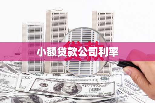 全椒小额贷款公司利率