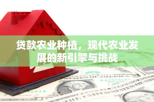 丽水贷款农业种植，现代农业发展的新引擎与挑战
