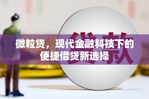 呼和浩特微粒贷，现代金融科技下的便捷借贷新选择