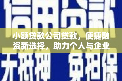 巴青小额贷款公司贷款，便捷融资新选择，助力个人与企业成长