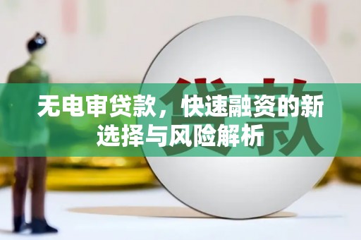 横县无电审贷款，快速融资的新选择与风险解析