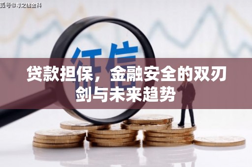阿巴嘎旗贷款担保，金融安全的双刃剑与未来趋势