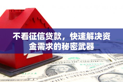 扶绥不看征信贷款，快速解决资金需求的秘密武器