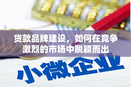 水林贷款品牌建设，如何在竞争激烈的市场中脱颖而出
