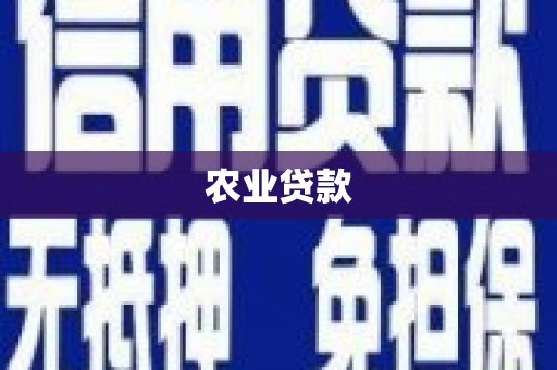 兴宾农业贷款