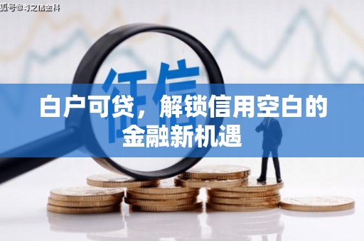 平江白户可贷，解锁信用空白的金融新机遇