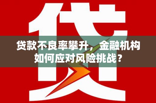 埔心贷款不良率攀升，金融机构如何应对风险挑战？