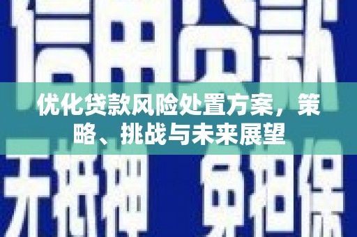 鹤庆优化贷款风险处置方案，策略、挑战与未来展望