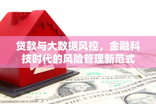 虾峙贷款与大数据风控，金融科技时代的风险管理新范式