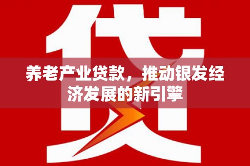 武鸣养老产业贷款，推动银发经济发展的新引擎