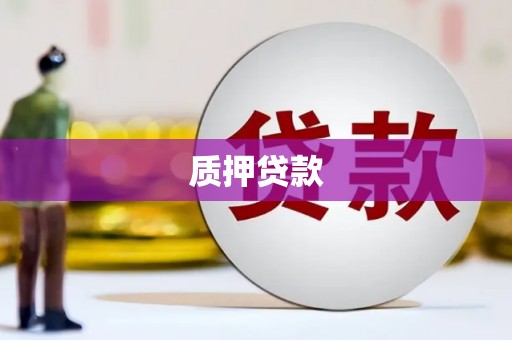 霞浦质押贷款