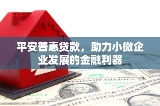 龙文平安普惠贷款，助力小微企业发展的金融利器