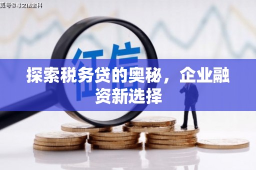 六安探索税务贷的奥秘，企业融资新选择