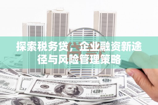 通山探索税务贷，企业融资新途径与风险管理策略