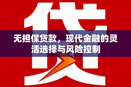 二水无担保贷款，现代金融的灵活选择与风险控制
