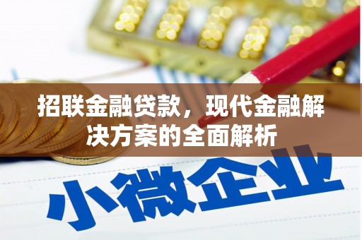 海安招联金融贷款，现代金融解决方案的全面解析