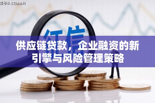 云和供应链贷款，企业融资的新引擎与风险管理策略