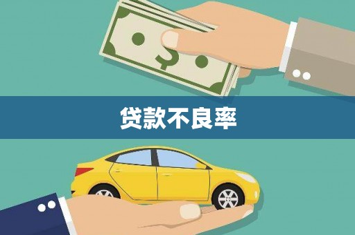 黔西贷款不良率