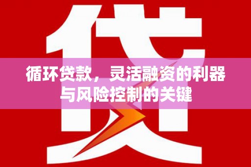 市中区循环贷款，灵活融资的利器与风险控制的关键