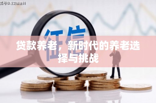 米东贷款养老，新时代的养老选择与挑战