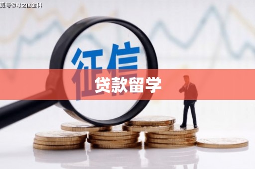 凤林贷款留学