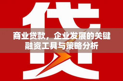 全州商业贷款，企业发展的关键融资工具与策略分析
