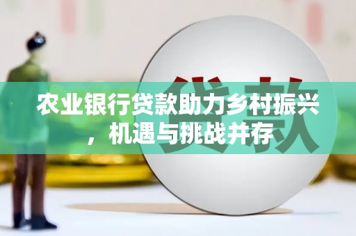 盘县农业银行贷款助力乡村振兴，机遇与挑战并存
