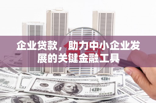 上林企业贷款，助力中小企业发展的关键金融工具