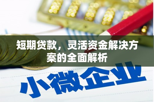 田家庵短期贷款，灵活资金解决方案的全面解析