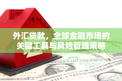 金东外汇贷款，全球金融市场的关键工具与风险管理策略