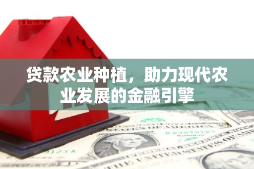屯门贷款农业种植，助力现代农业发展的金融引擎