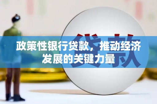 霍尔果斯政策性银行贷款，推动经济发展的关键力量
