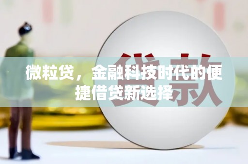 永善微粒贷，金融科技时代的便捷借贷新选择